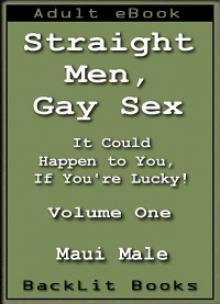 Straight Men, Gay Sex