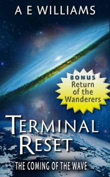 Terminal Reset Omnibus: The Coming of The Wave
