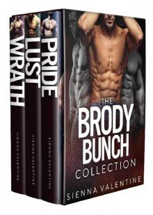 The Brody Bunch Collection: Bad Boy Romance