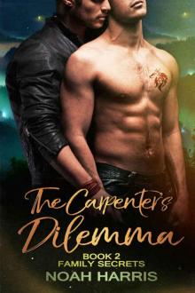 The Carpenter’s Dilemma (Family Secrets Book 2)