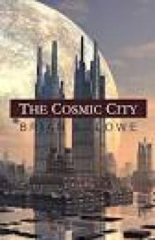 The Cosmic City