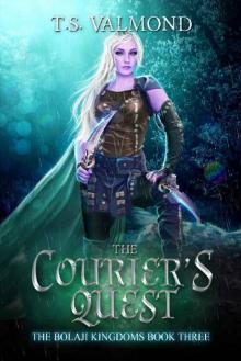 The Courier's Quest