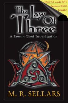 The Law Of Three: A Rowan Gant Investigation