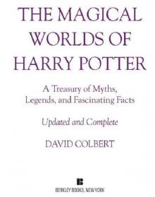 The Magical Worlds of Harry Potter