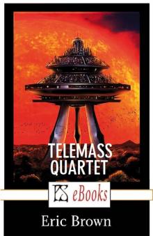 The Telemass Quartet