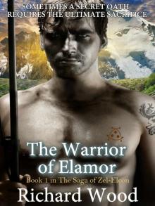 The Warrior of Elamor (Saga of Zel-Elcon Book 1)