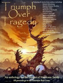 Triumph Over Tragedy: an anthology for the victims of Hurricane Sandy