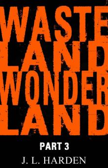 Wasteland Wonderland - Part 3