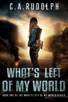 What's Left of My World (Book 1)