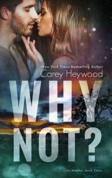 Why Not? (Love Riddles Book 3)