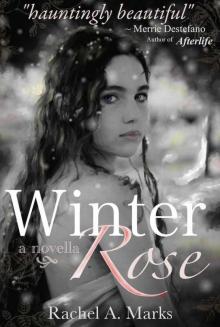 Winter Rose