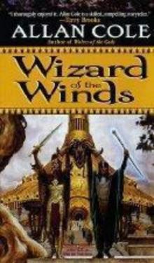 Wizard of the winds tott-1