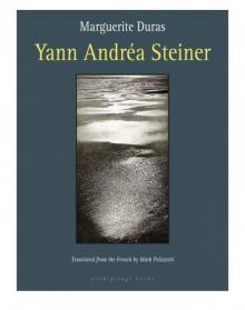 Yann Andrea Steiner