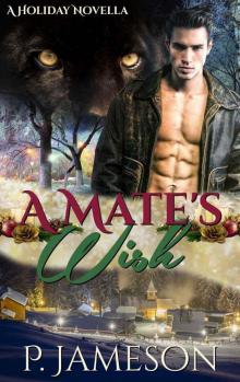 A Mate's Wish: (BBW Holiday Paranormal Romance)