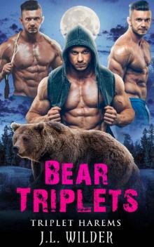 Bear Triplets (Triplet Harems Book 2)