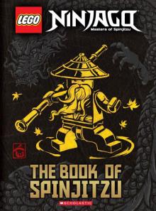 Book of Spinjitzu (LEGO Ninjago)