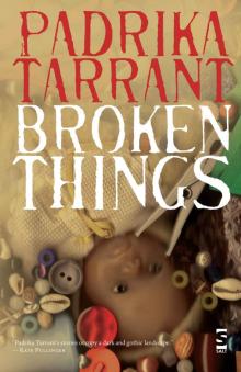 Broken Things (Salt Modern Fiction)