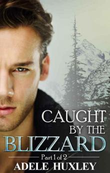 Caught by the Blizzard: A romantic winter thriller (Tellure Hollow Book 1)