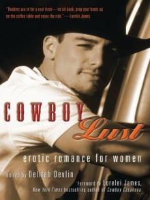 Cowboy Lust: Erotic Romance for Women