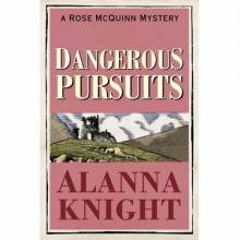 Dangerous Pursuits (A Rose McQuinn Mystery)