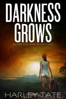 Darkness Grows: A Post-Apocalyptic Survival Thriller (After the EMP Book 2)