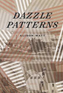 Dazzle Patterns