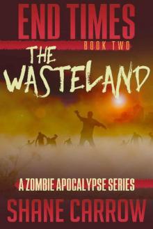 End Times (Book 2): The Wasteland