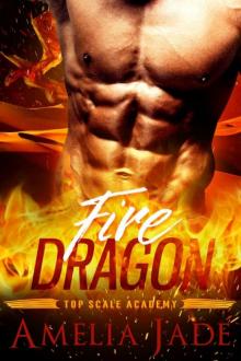 Fire Dragon (A BBW Standalone Shape Shifter Romance) (Top Scale Academy Book 2)