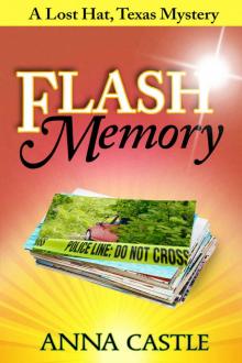 Flash Memory: A Lost Hat, Texas, Mystery (The Lost Hat, Texas, Mystery Series Book 2)