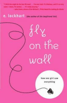 Fly on the Wall: How One Girl Saw Everything