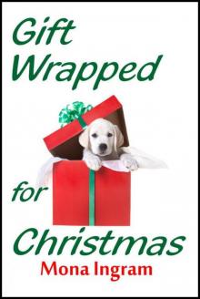 Gift Wrapped for Christmas: A Contemporary Romance