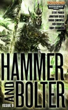 Hammer and Bolter 9