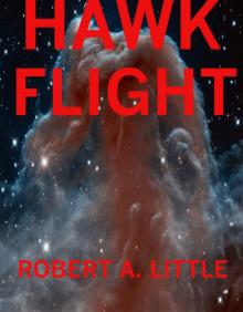 Hawk Flight (Flight of the Hawk Book 3)