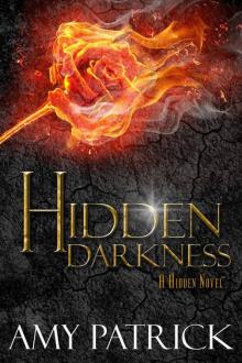 Hidden Darkness (Hidden Saga Book 4)