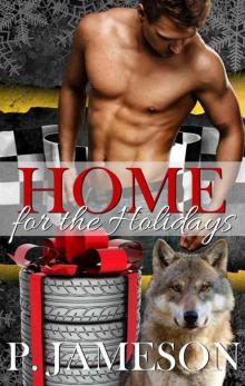 Home For The Holidays (Dirt Track Dogs #6)