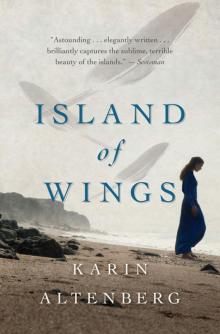 Island of Wings