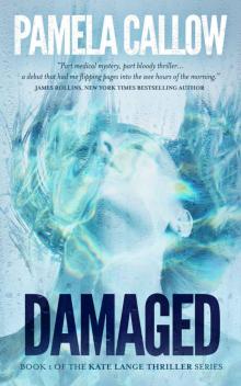 [Kate Lange 01.0] Damaged