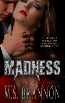 Madness (Revenge Series Book 3)