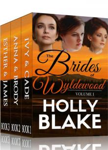 Mail Order Brides: Western Romance Collection: The Brides of Wyldewood: Volume One