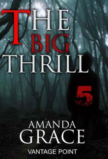 MYSTERY: THE BIG THRILL - VANTAGTE POINT (Suspense Thriller Mystery Collection Book 5)