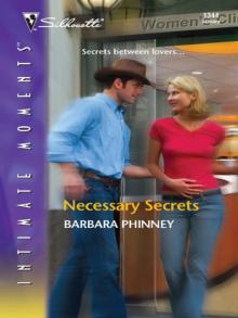 Necessary Secrets