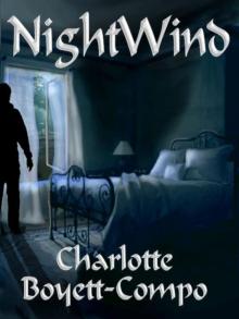 NightWind 1st Book: HellWind Trilogy