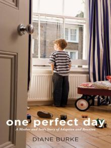 One Perfect Day