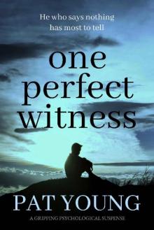 One Perfect Witness: a gripping psychological suspense