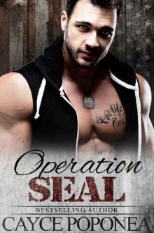 Operation SEAL: Book Two Trident Brotherhood Series