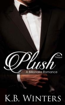 Plush The Prequel: A Billionaire Romance