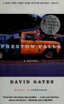 Preston Falls : a novel