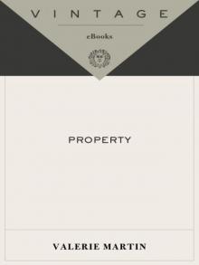 Property (Vintage Contemporaries)