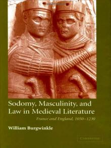 Sodomy, Masculinity, and Law in Medieval Literature