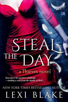 Steal the Day (Thieves 2)